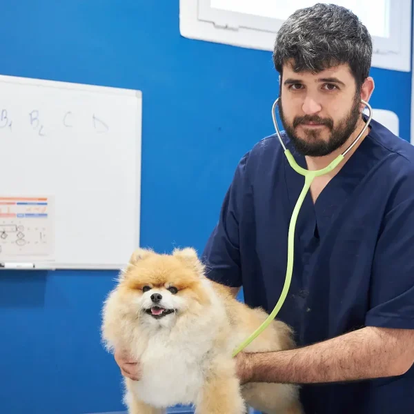 centre-veterinari-salou-50