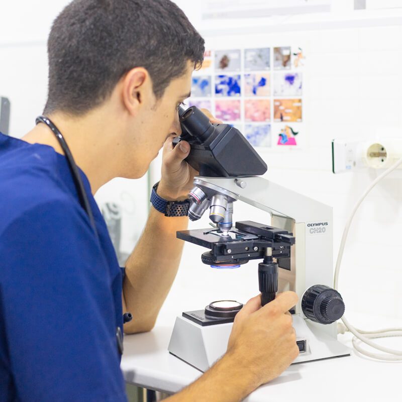 centre-veterinari-salou-analisis-clinic centre-veterinari-salou-analisis-clinic