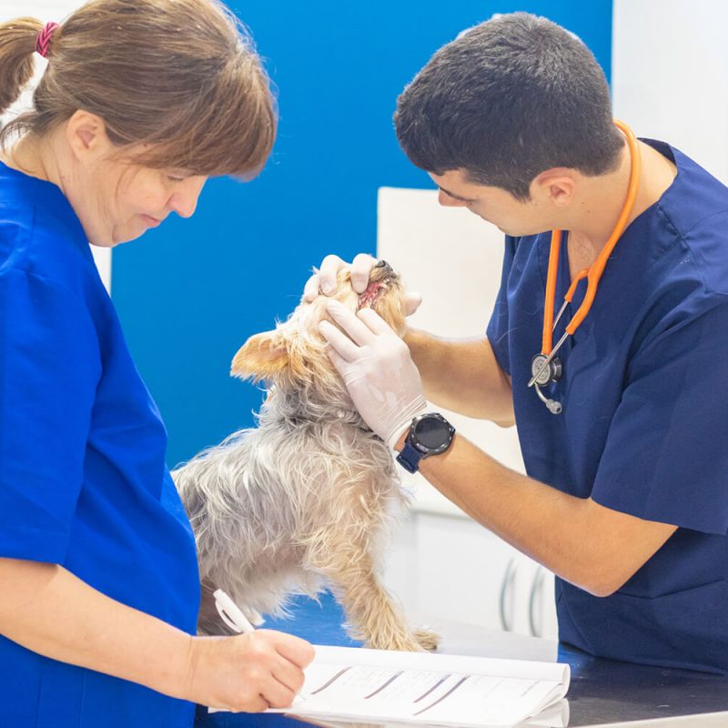 salou-odontologia salou-odontologia